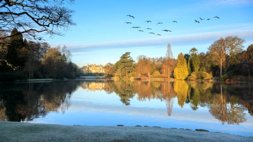 A wintery scene over the lakes at Sheffield Park and Garden, East Sussex